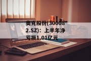 奥克股份(300082.SZ)：上半年净亏损1.01亿元