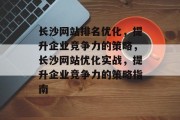 长沙网站排名优化，提升企业竞争力的策略，长沙网站优化实战，提升企业竞争力的策略指南，长沙网站优化实战指南