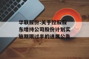 华联股份:关于控股股东增持公司股份计划实施期限过半的进展公告