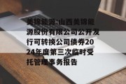 美锦能源:山西美锦能源股份有限公司公开发行可转换公司债券2024年度第三次临时受托管理事务报告