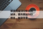 提高网站SEO排名的秘诀，提升网站SEO排名，秘诀分享，提升网站SEO排名，秘诀分享