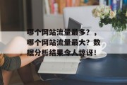 哪个网站流量最多？，哪个网站流量最大？数据分析结果令人惊讶！