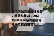 国内网站流量统计报告，趋势与挑战，2023年中国网站流量趋势分析及挑战报告，2023中国网站流量趋势，挑战与机遇并存