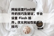 网站设置Flash插件的技巧及建议，学会设置 Flash 插件，优化网站性能的小技巧