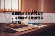 无锡网站流量运营公司，无锡网站流量运营公司介绍，无锡网站流量运营公司|无锡SEO服务