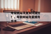 母婴网站流量如何提升？，母婴网站流量提升方法，母婴网站流量策略