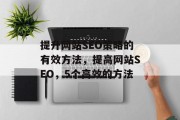 提升网站SEO策略的有效方法，提高网站SEO，5个高效的方法