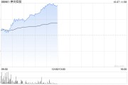 神州控股早盘涨近14% 大数据及境外业务表现亮眼