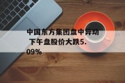 中国东方集团盘中异动 下午盘股价大跌5.09%