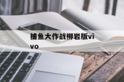 捕鱼大作战柳岩版vivo