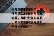 国外插件网站指南，插件与网站的安全与隐私问题，插件安全与隐私，如何识别并避免使用不安全的插件？，插件指南，识别和避免使用不安全插件