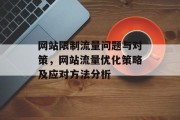 网站限制流量问题与对策，网站流量优化策略及应对方法分析，网站流量如何有效管理？流量优化策略有哪些？