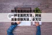 如何查看网站的流量？一种全面的方法，网站流量获取方法，全方位指南，网站流量查询方法，全方位指南