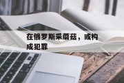 在俄罗斯采蘑菇，或构成犯罪