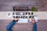 东方日升(300118.SZ)：上半年净亏损9.6亿元 同比转亏