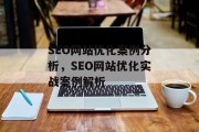 SEO网站优化案例分析，SEO网站优化实战案例解析，SEO实战案例，你是否也困扰于如何优化网站流量?