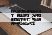 捕鱼游戏应用商店不见了，捕鱼游戏，为何应用商店不见了？可能原因分析及解决方案