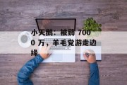 小天鹅：被薅 7000 万，羊毛党游走边缘