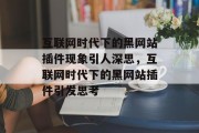 互联网时代下的黑网站插件现象引人深思，互联网时代下的黑网站插件引发思考