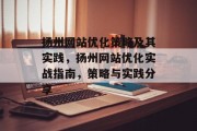 扬州网站优化策略及其实践，扬州网站优化实战指南，策略与实践分享