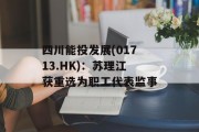 四川能投发展(01713.HK)：苏理江获重选为职工代表监事