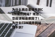 为什么我总是找不到CDN插件网站？现在，您应该知道原因了！，为什么CDN插件网站找不到？，为什么CDN插件网站找不到？