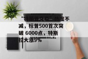 “特朗普交易”热度不减，标普500首次突破 6000点，特斯拉大涨9%