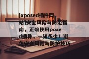 [xposed插件网站]安全风险与防范指南，正确使用posed插件，一知多少！避免安全风险与防护技巧，posed插件，安全使用指南及常见风险防范技巧