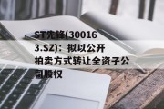 ST先锋(300163.SZ)：拟以公开拍卖方式转让全资子公司股权