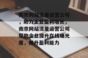 南京网站流量运营公司，助力企业盈利增长，南京网站流量运营公司帮助企业提升在线曝光度，提升盈利能力