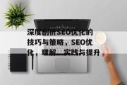 深度剖析SEO优化的技巧与策略，SEO优化，理解、实践与提升，SEO优化，基础理论、策略与实践