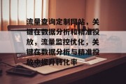 流量查询定制网站，关键在数据分析和精准投放，流量监控优化，关键在数据分析与精准投放中提升转化率，流量查询，数据分析与精准投放的关键,