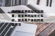 提升张家界网站优化效果，张家界网站优化实战，提高用户体验的关键方法，张家界网站优化实战，高效提升用户体验的方法