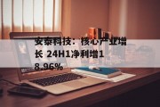 安泰科技：核心产业增长 24H1净利增18.96%