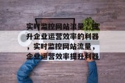 实时监控网站流量，提升企业运营效率的利器，实时监控网站流量，企业运营效率提升利器，实时监控网站流量，提升企业运营效率神器