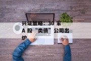 兴证策略：30 家 A 股“类债”公司出炉