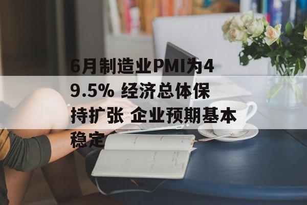 6月制造业PMI为49.5% 经济总体保持扩张 企业预期基本稳定