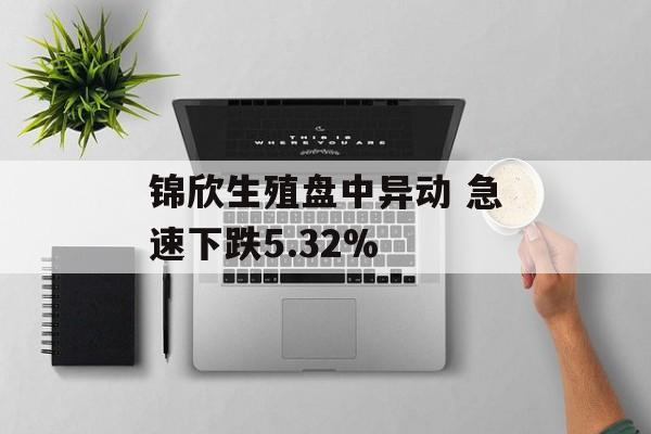 锦欣生殖盘中异动 急速下跌5.32%