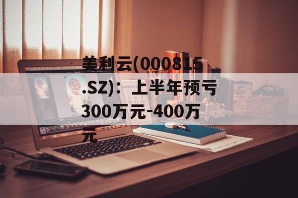 美利云(000815.SZ)：上半年预亏300万元-400万元