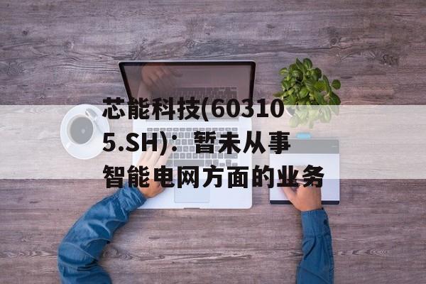 芯能科技(603105.SH)：暂未从事智能电网方面的业务