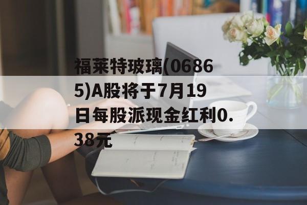 福莱特玻璃(06865)A股将于7月19日每股派现金红利0.38元