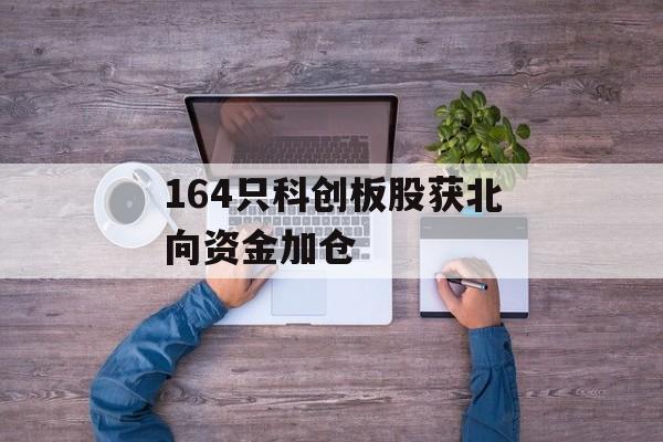 164只科创板股获北向资金加仓