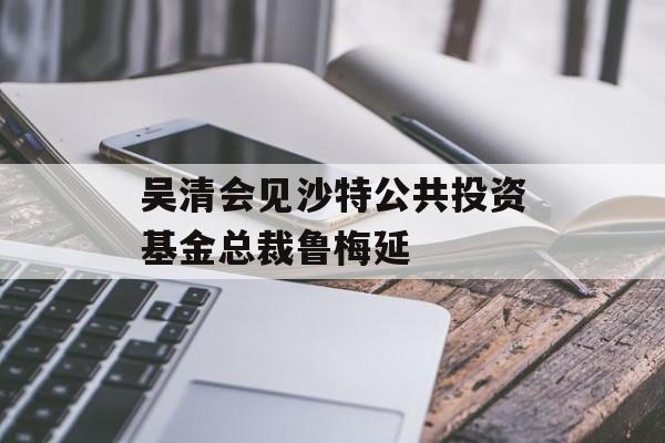 吴清会见沙特公共投资基金总裁鲁梅延