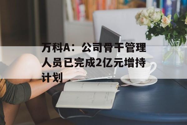 万科A：公司骨干管理人员已完成2亿元增持计划