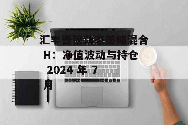 汇丰晋信动态策略混合 H：净值波动与持仓  2024 年 7 月