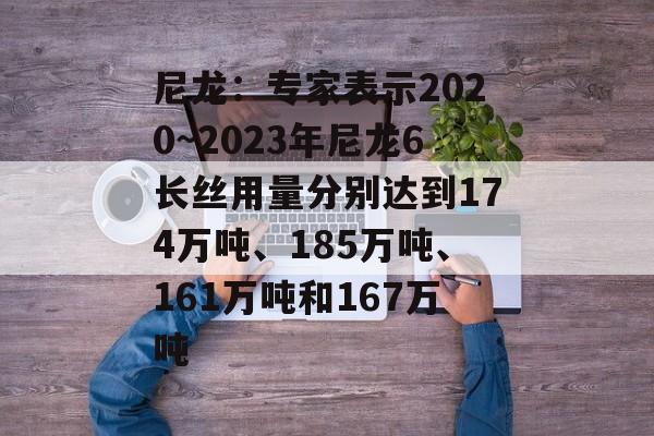 尼龙：专家表示2020~2023年尼龙6长丝用量分别达到174万吨、185万吨、161万吨和167万吨