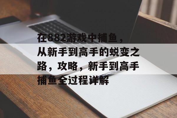 在882游戏中捕鱼，从新手到高手的蜕变之路，攻略，新手到高手捕鱼全过程详解