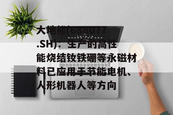 大地熊(688077.SH)：生产的高性能烧结钕铁硼等永磁材料已应用于节能电机、人形机器人等方向