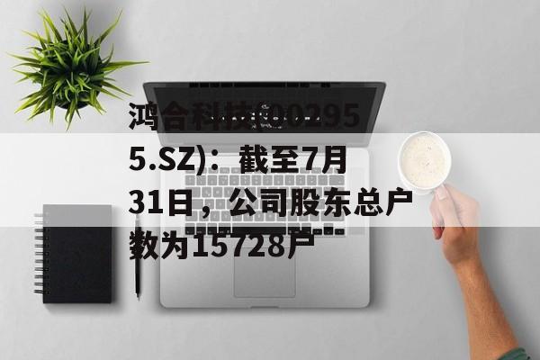 鸿合科技(002955.SZ)：截至7月31日，公司股东总户数为15728户