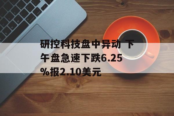 研控科技盘中异动 下午盘急速下跌6.25%报2.10美元